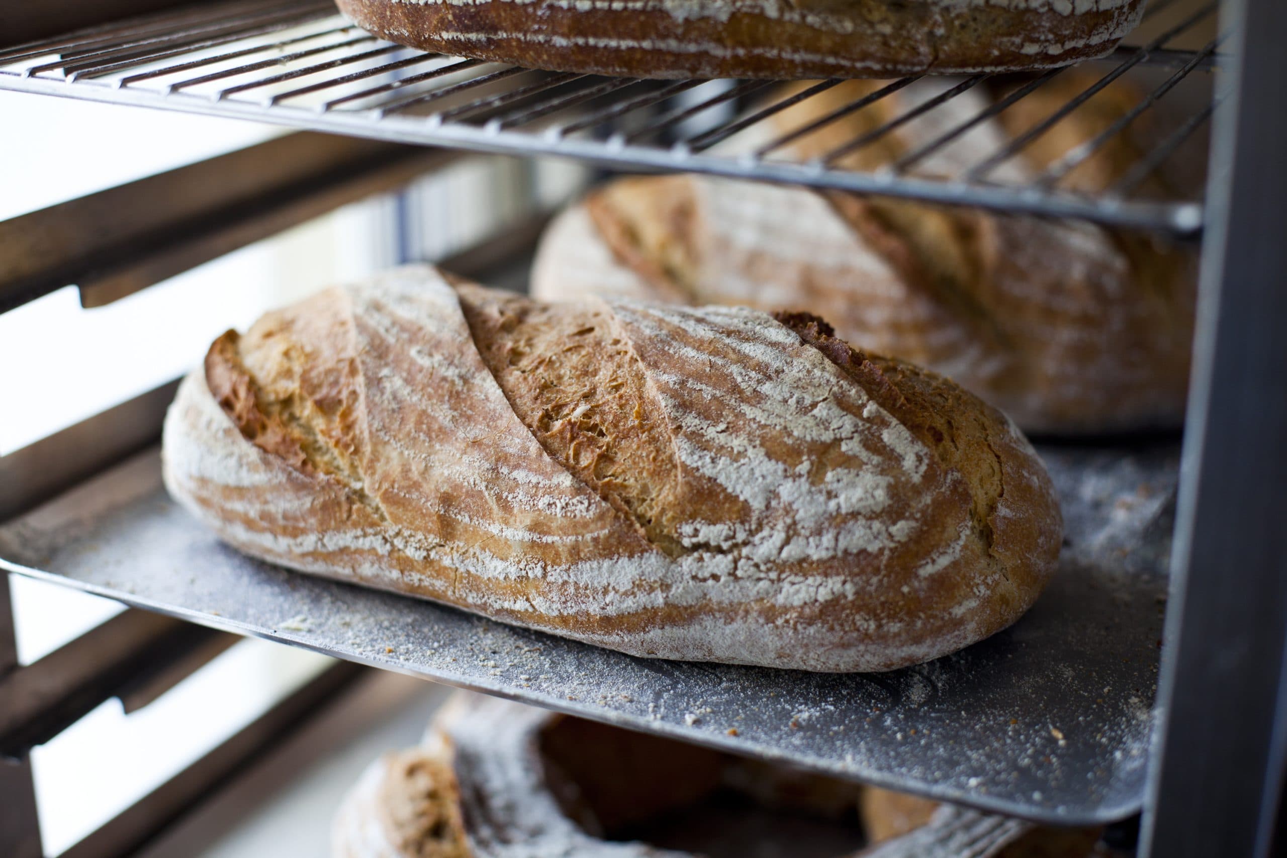 Cover Image for The Firehouse Bakery
