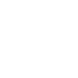 Technical development partner on custom digital products including public-sector web applications